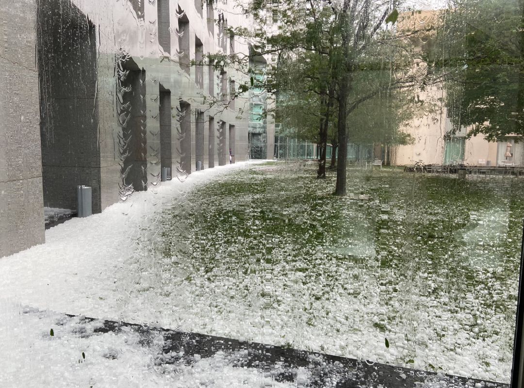 突发 | 堪培拉天降乒乓Size大冰雹，夏日一片雪国景象;车碎了，房子碎了，修车店老板忙到没空回消息······ - 15