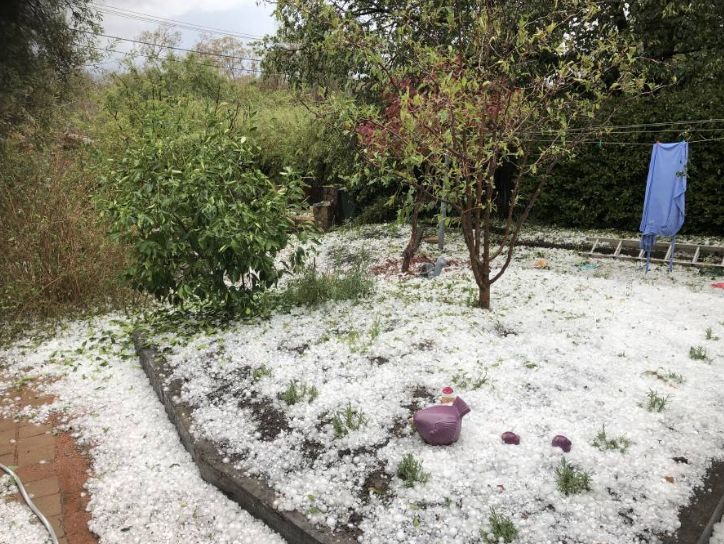 突发 | 堪培拉天降乒乓Size大冰雹，夏日一片雪国景象;车碎了，房子碎了，修车店老板忙到没空回消息······ - 13