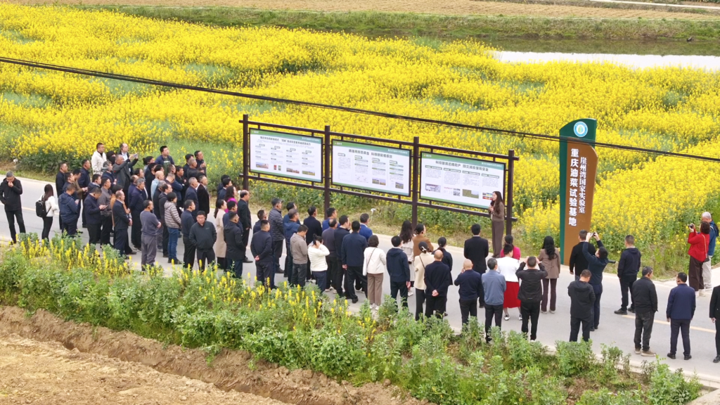 fcab1fd7546b23fcff44c22a49313b45_720