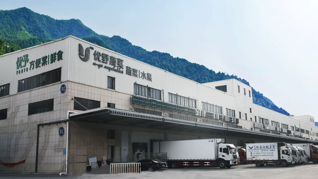 优野蔬菜丨科技赋能品质，守护舌尖安全！