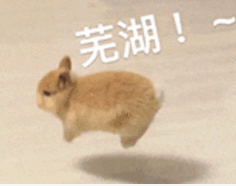 微信图片_20260713112737_1240_2.jpg