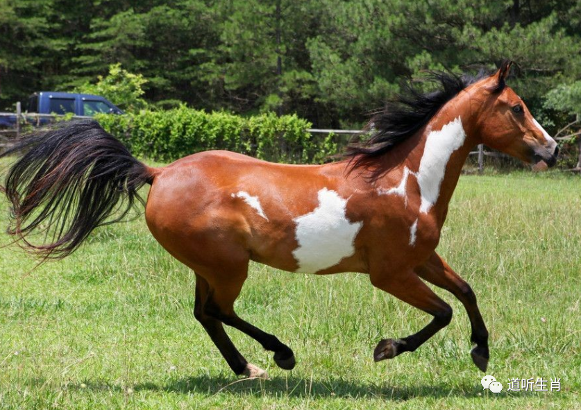生肖马人 给您提个醒 明日3月10号 不宜出门 家庭将有 地动山摇 的大事件 4秒点开消灾 宁波新闻