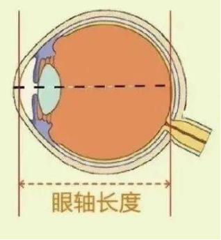 眼科生物测量仪怎么看轻松看懂眼科光学生物测量仪报告单_https://www.jmylbn.com_新闻资讯_第10张