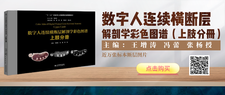 绷带石膏怎么拆除骨科石膏绷带外固定技术的操作要领，大量彩页直观明了！_https://www.jmylbn.com_新闻资讯_第12张