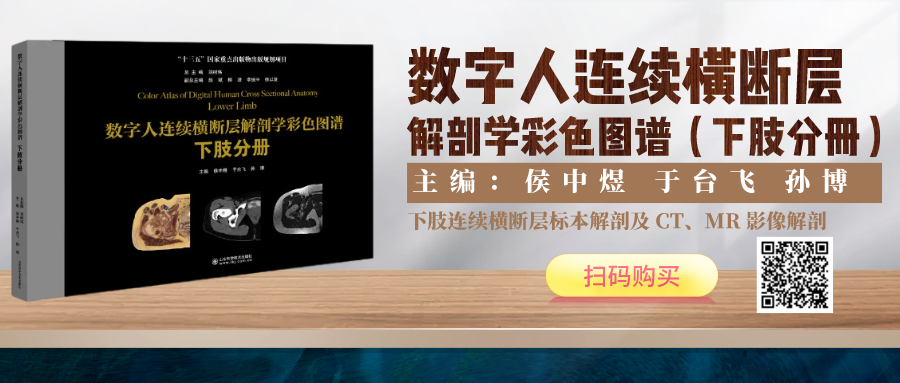绷带石膏怎么拆除骨科石膏绷带外固定技术的操作要领，大量彩页直观明了！_https://www.jmylbn.com_新闻资讯_第13张