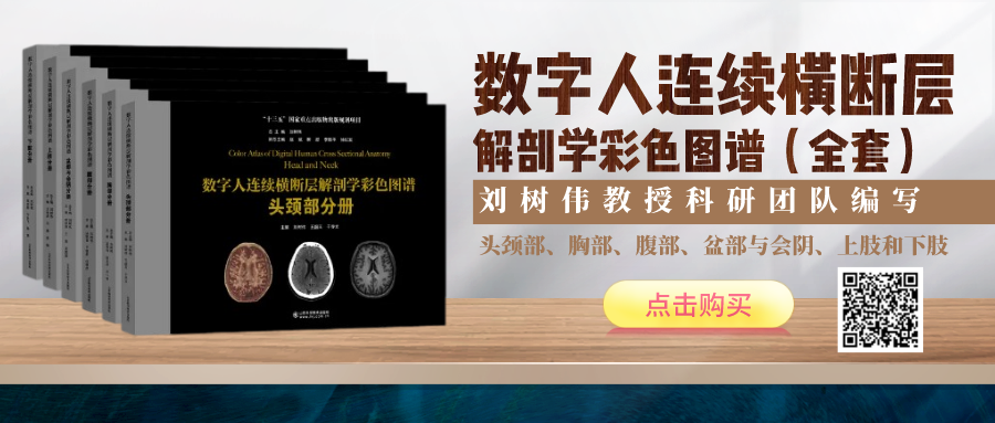 绷带石膏怎么拆除骨科石膏绷带外固定技术的操作要领，大量彩页直观明了！_https://www.jmylbn.com_新闻资讯_第11张