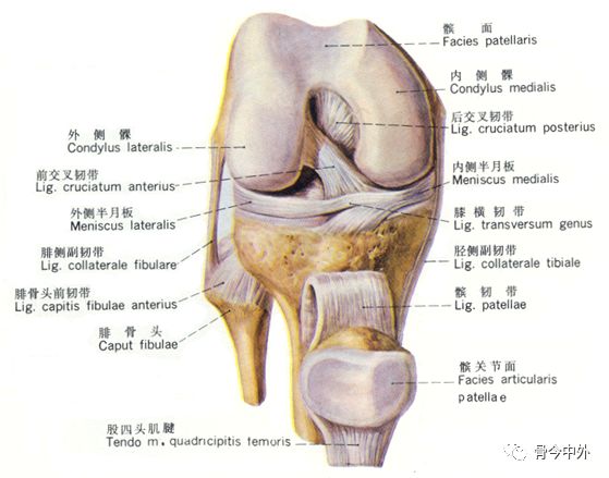 博鱼:
膝关节腔积液的原因及定位方法（一）——玻璃酸钠注射
