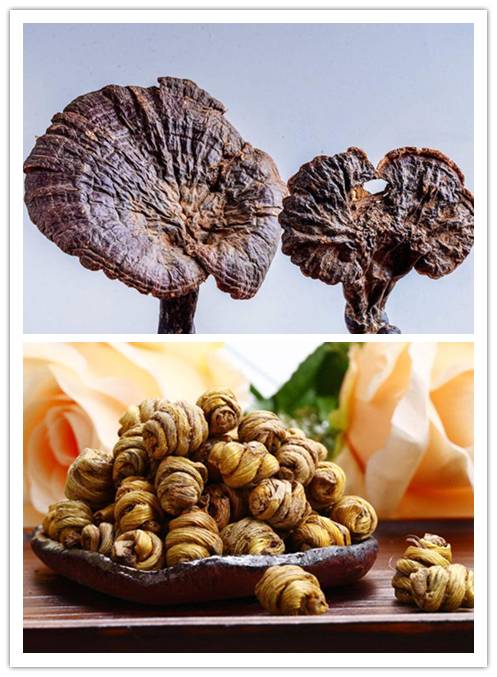 灵芝PK铁皮石斛，春季润燥谁最妙？