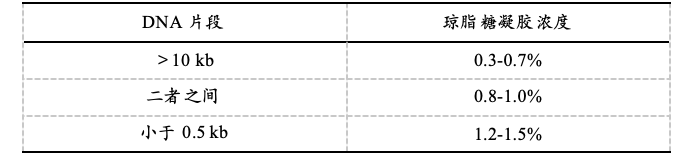 瓊脂糖凝膠電泳的實(shí)驗(yàn)步驟及常見(jiàn)問(wèn)題分析