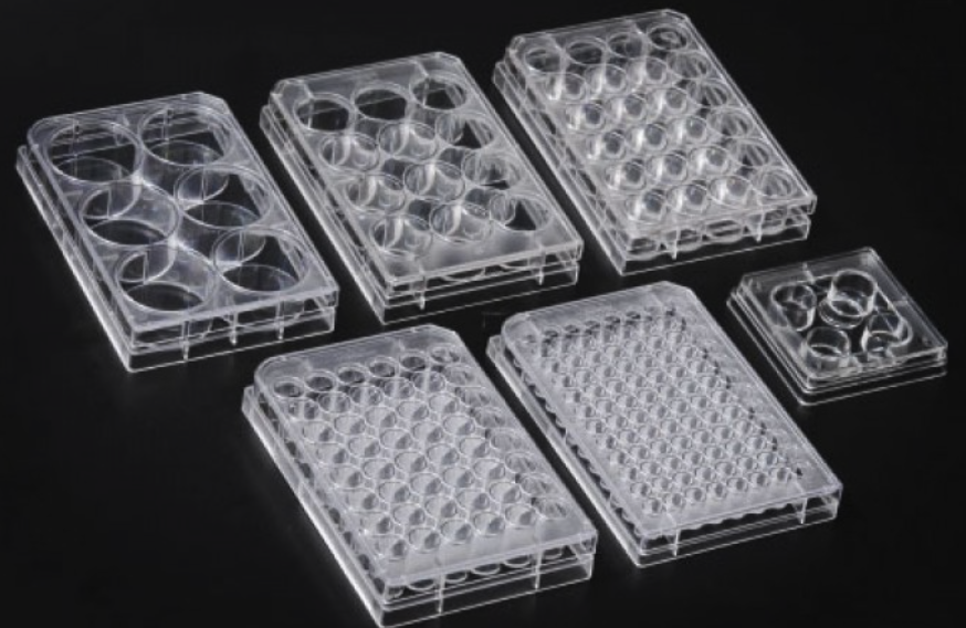 何時用瓶皿培養(yǎng)，何時用孔板培養(yǎng)