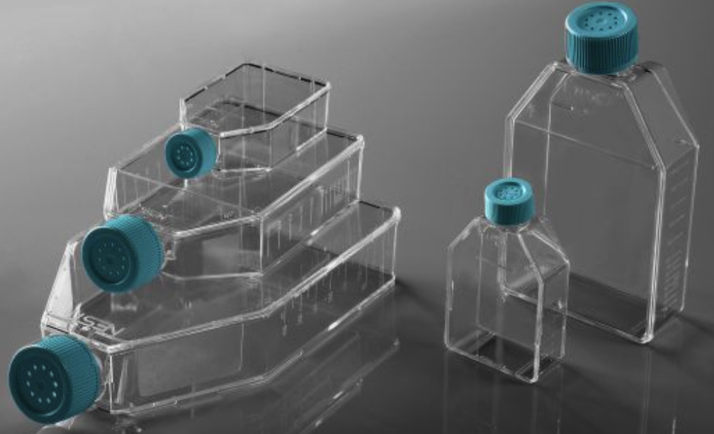 何時用瓶皿培養(yǎng)，何時用孔板培養(yǎng)