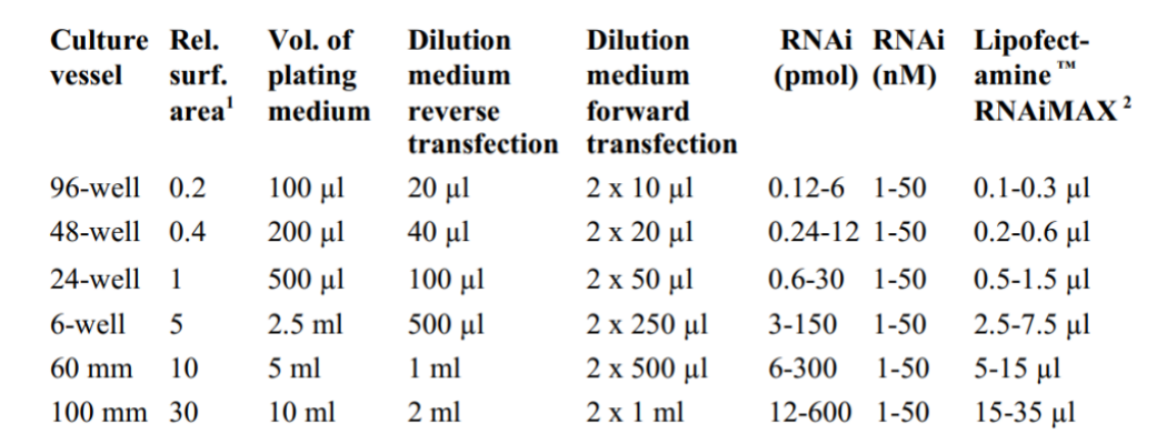 Lipofectamine ™ RNAiMAX轉(zhuǎn)染