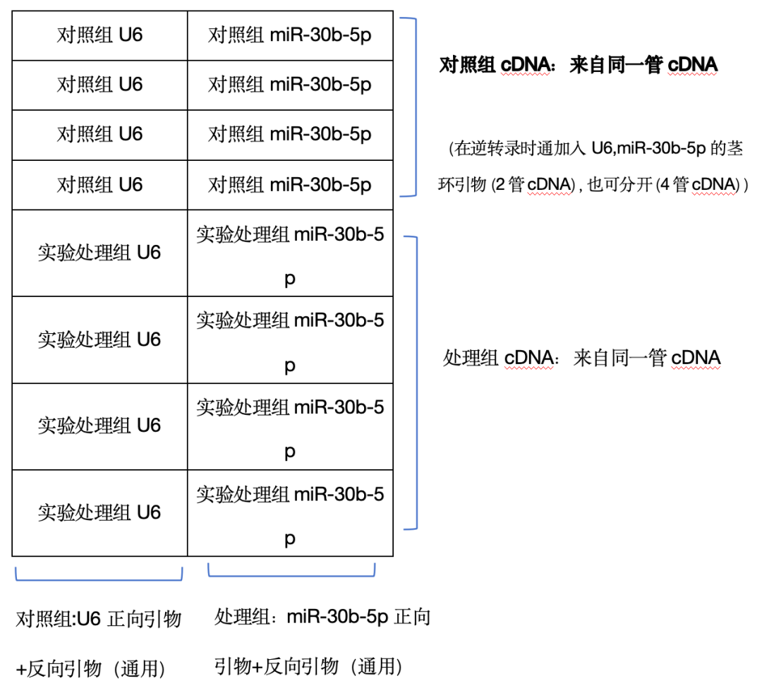 miRNA的逆轉(zhuǎn)錄和熒光定量PCR