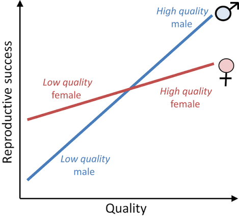 Reproductive success as a function of quality in the Trivers-Willard... |  Download Scientific Diagram
