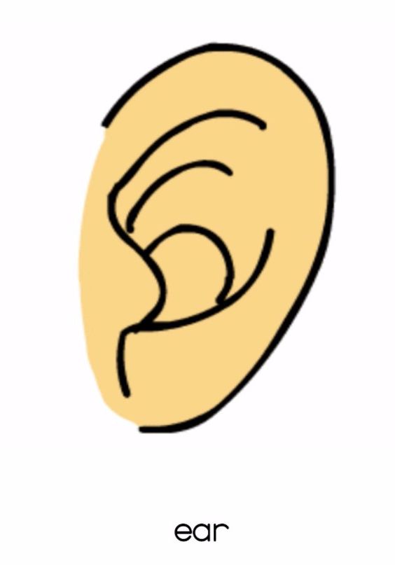 如何用单词游戏帮孩子背单词