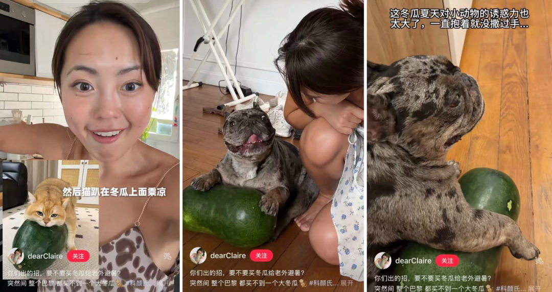 China’s Winter Melon Cooling Hack ： Does Sleeping with One Work?