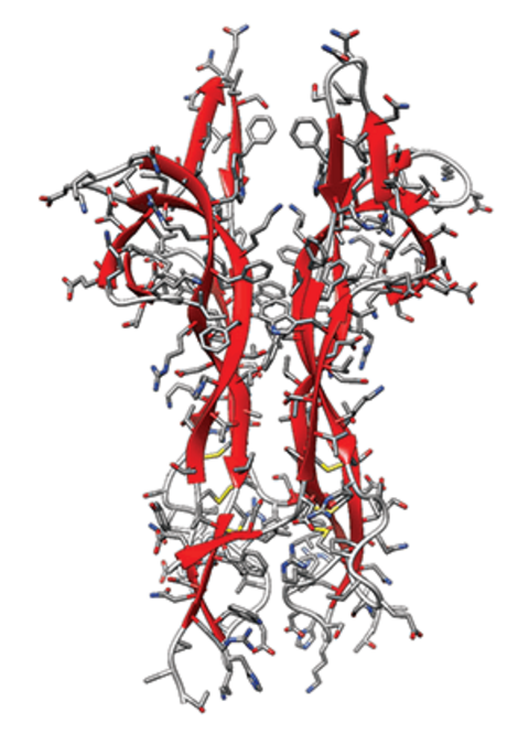 意大利眼科怎么样意大利东沛制药神经营养性角膜炎突破性生物疗法——欧适维®成功实现首例患者处方_https://www.jmylbn.com_新闻资讯_第4张