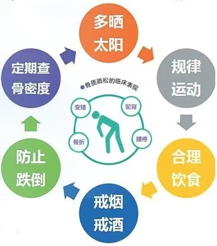 双能x骨密度检测仪为什么非得输入体重身高人医科普 ｜ 骨质疏松诊断“金标准”：双能X线骨密度仪_https://www.jmylbn.com_新闻资讯_第16张