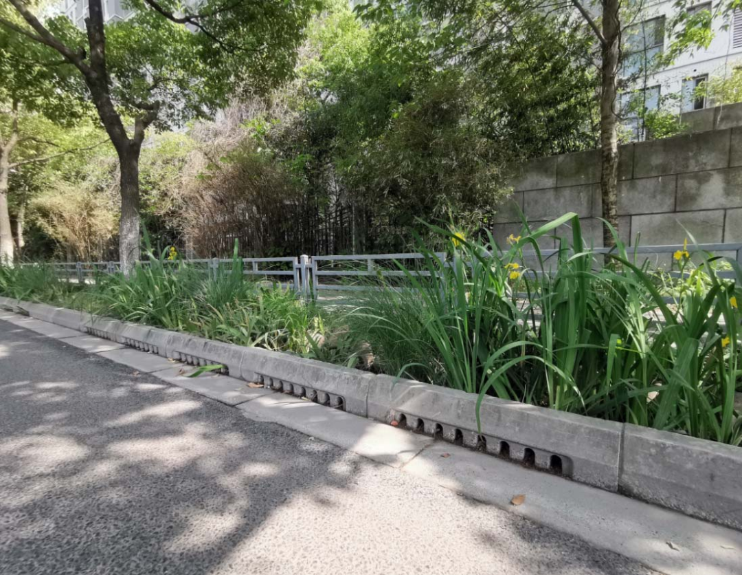 海绵干货如何做好城市道路的海绵城市建设