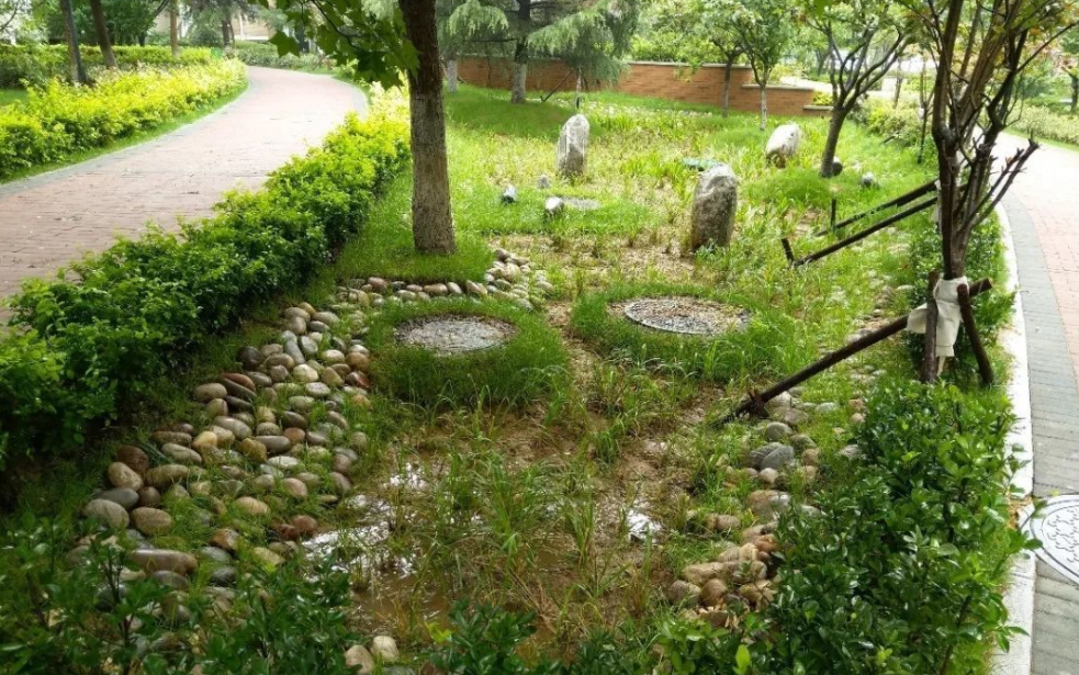 海绵干货如何做好城市道路的海绵城市建设