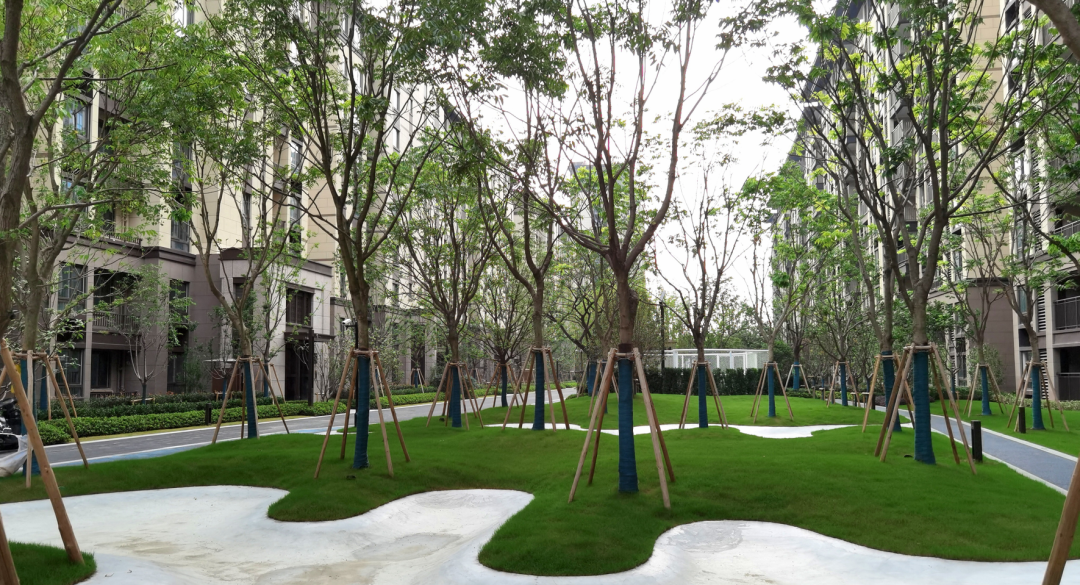 海绵干货|一个优秀的海绵社区如何建设?