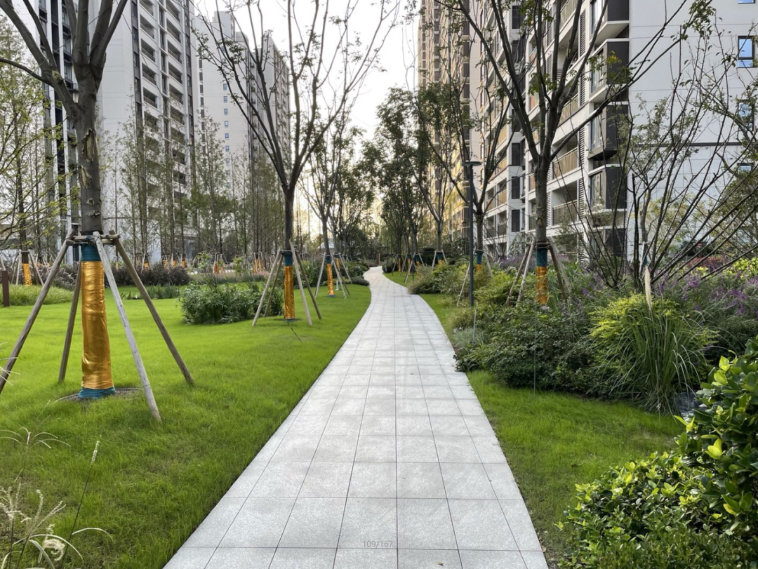 海绵干货|一个优秀的海绵社区如何建设?