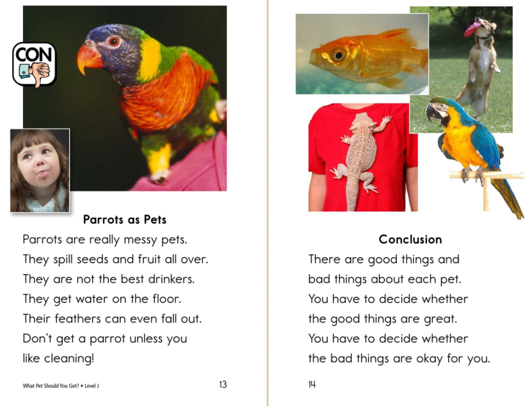  Discover the Magic of Little Live Pet Bird: Your Ultimate Companion for Fun and Adventure