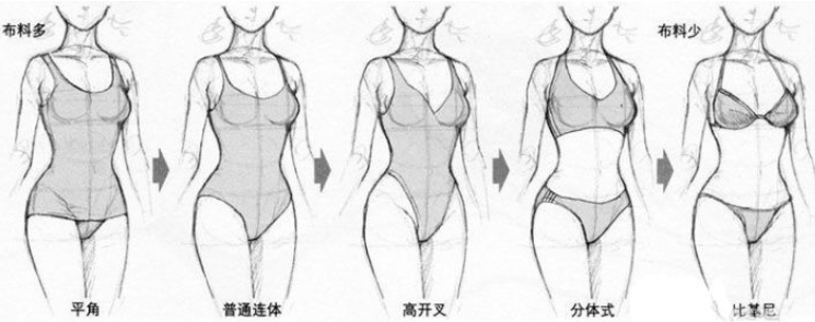 速比涛泳衣,女,分体_秦海璐 泳衣女分体_女分体泳衣