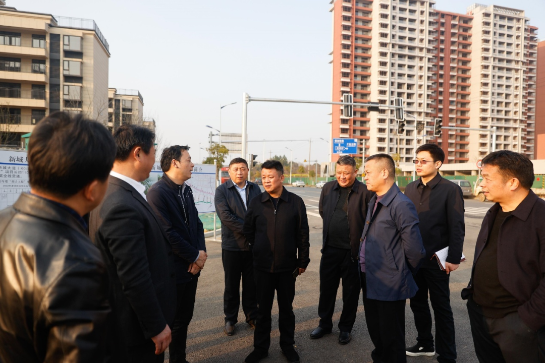 区长王成久实地调研督导胡子工程及断头路建设推进情况