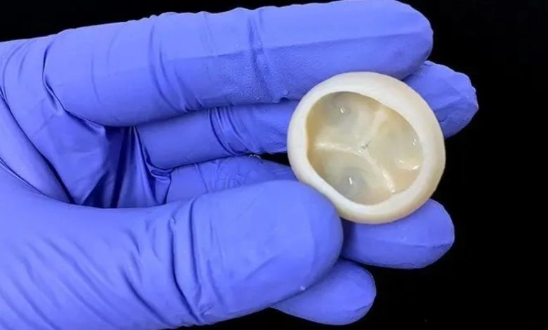 制造器官？強生3D生物打印解決方案的圖2