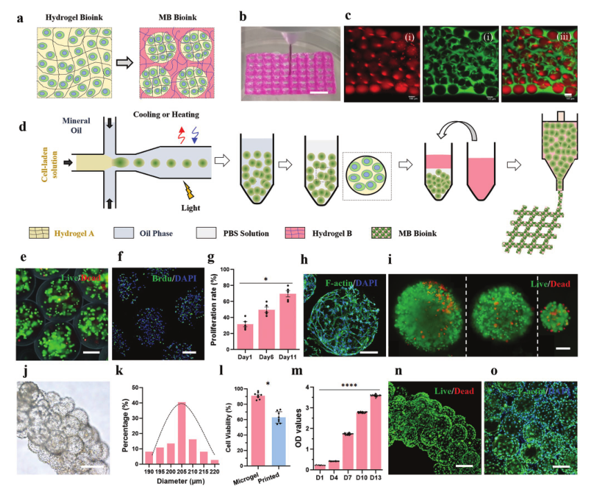 清華大學張婷、熊卓團隊：用于3D打印的載細胞微凝膠基雙相生物墨水的圖1