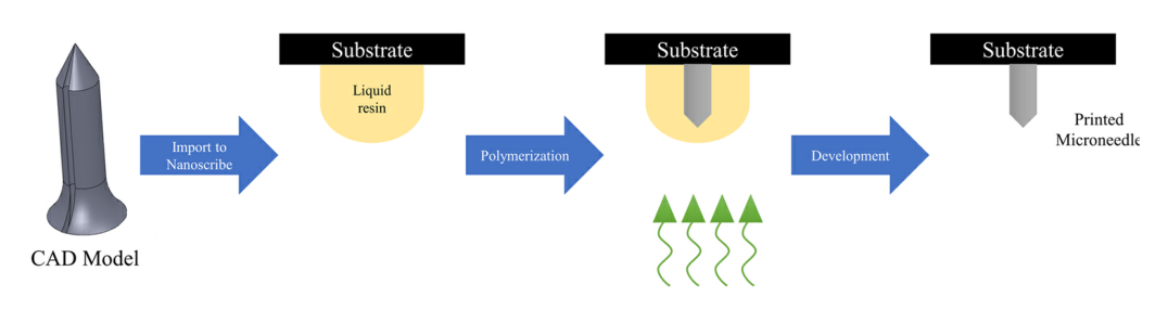 2万字干货：光固化微纳3D打印技术的发展现状与趋势的图5
