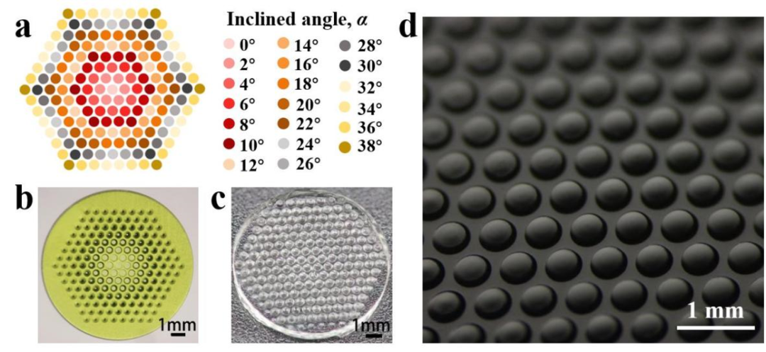 上海理工大學《Optics Express》：基于PμSL 3D打印技術的多焦距微透鏡陣列制造的圖2