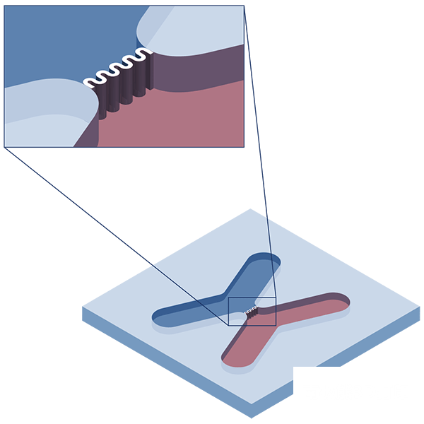 高分辨率生物3D打印機的圖4