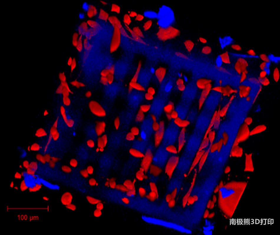 高分辨率生物3D打印機的圖6
