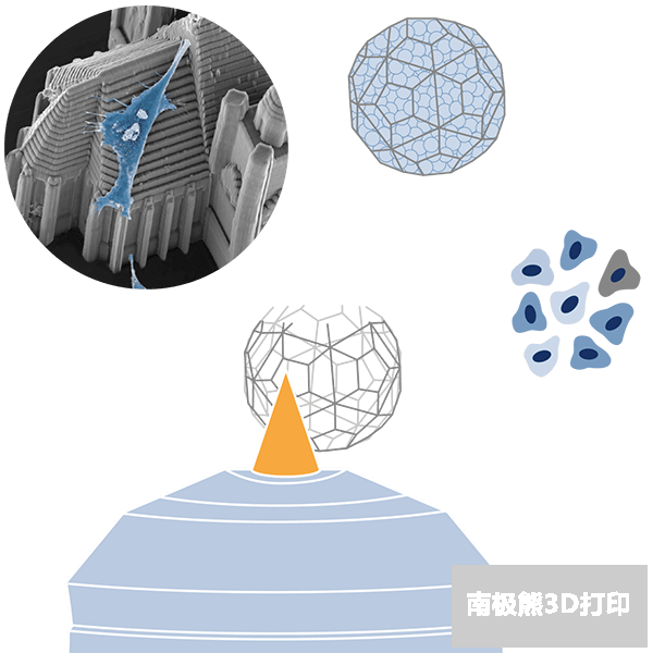 高分辨率生物3D打印機的圖3