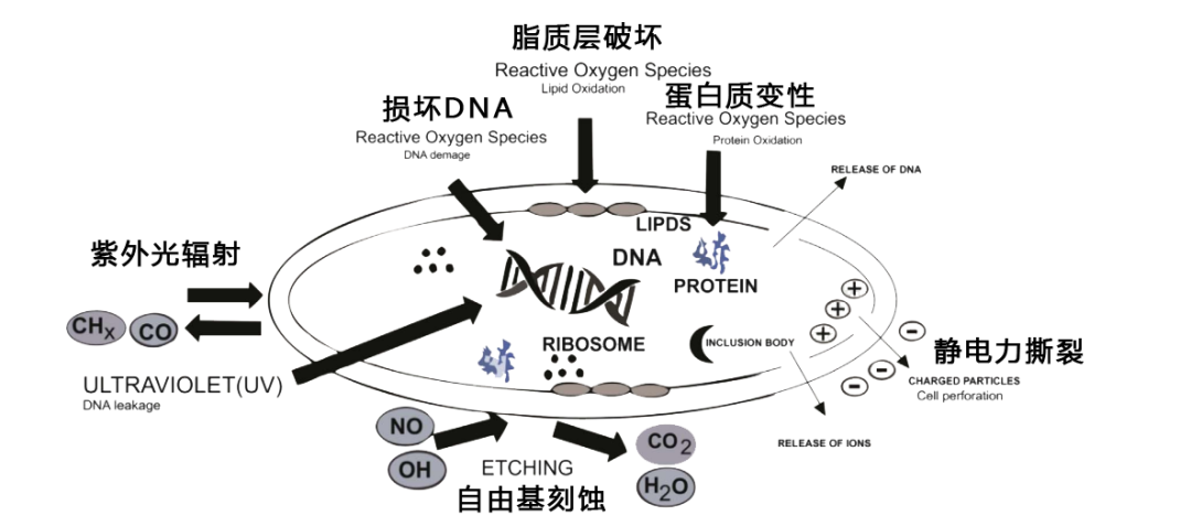 不只做增材制造，西空智造推“空氣斗士”等離子體空氣消毒機，可殺毒滅菌除甲醛的圖6