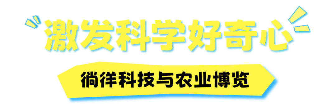 稿定设计-5.png