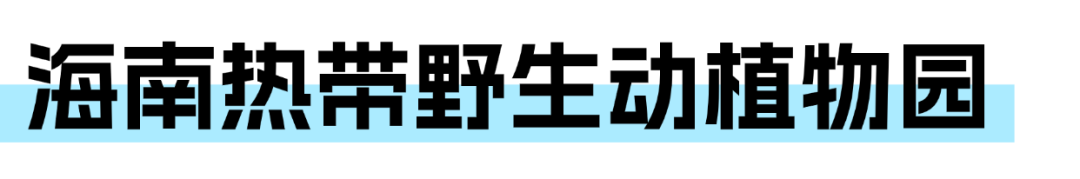 稿定设计-10.png