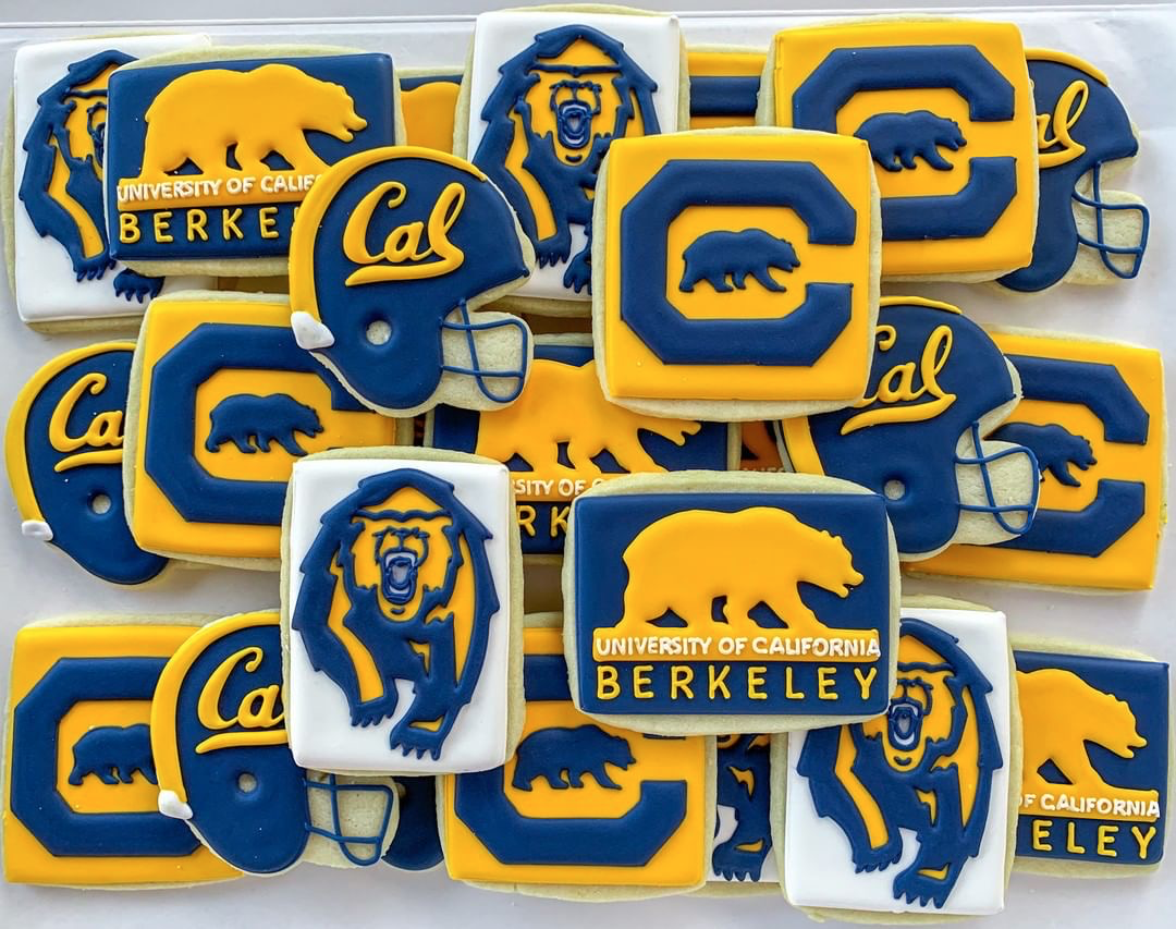 Berkeley University_Berkeley_What brand is berkeley