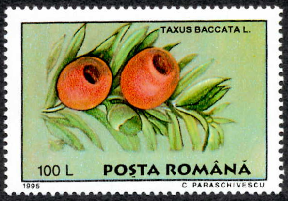 口服长效紫杉醇的失败​——Odonate Therapeutics破产 第3张