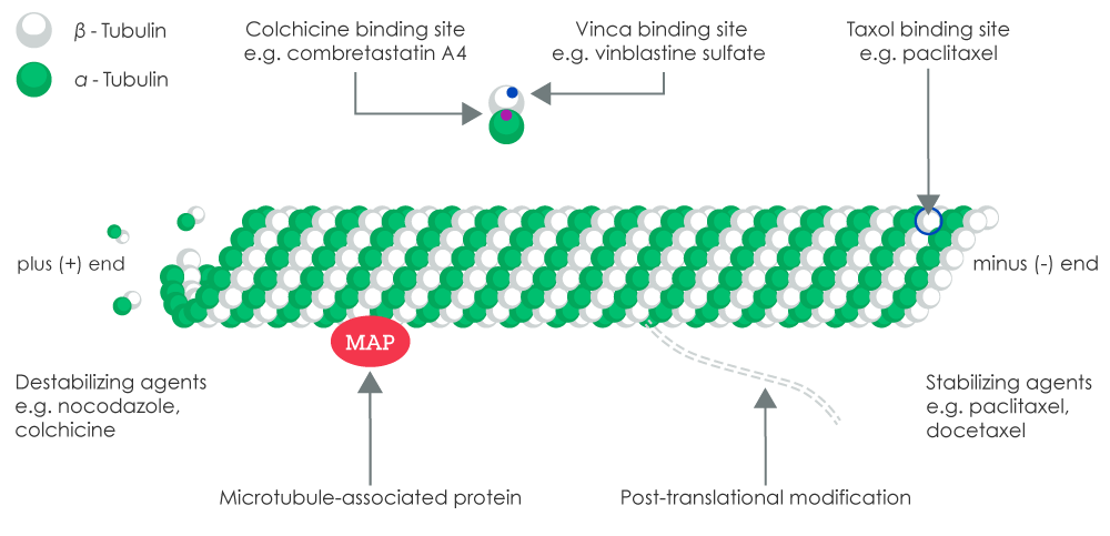 口服长效紫杉醇的失败​——Odonate Therapeutics破产 第2张