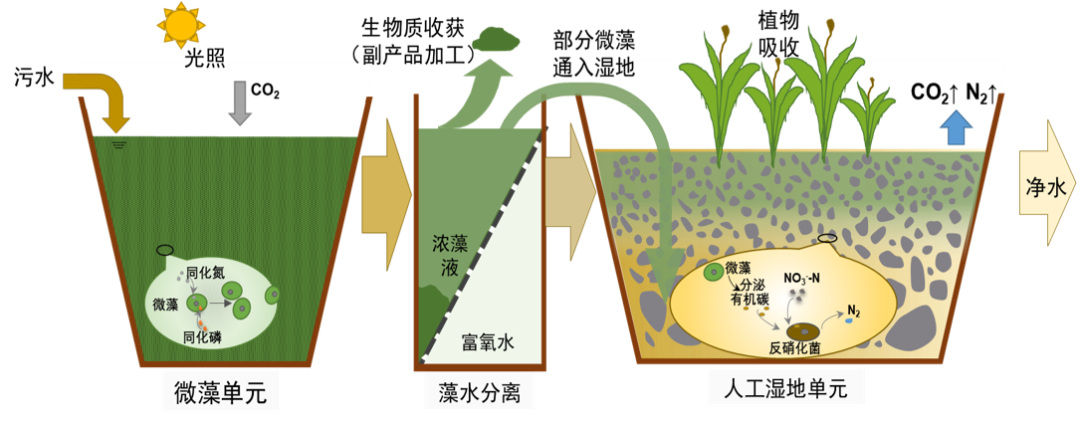 让"酱油汤"变为"绿如蓝"!