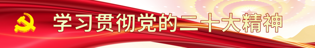 青年人创业项目 【聚焦】为青年学子搭建创业舞台，临港连续12年举办创业夏令营