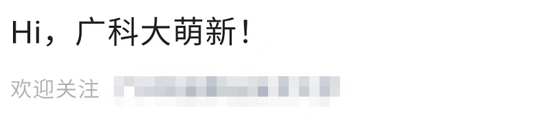 廣東省有哪些大學_廣東省大學有哪些大學排名_廣東省大學有哪些