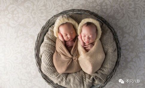 一岁半双胞胎真实照片图片