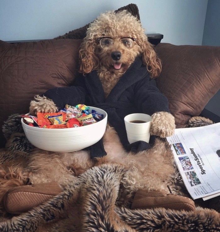 单身人士最新的“脱单”指南