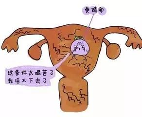 妇科蛋白膜怎么用重组Ⅲ型人源化胶原蛋白——薄型子宫内膜的希望之星_https://www.jmylbn.com_新闻资讯_第5张