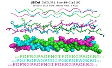 妇科蛋白膜怎么用宫腔灌注胶原蛋白，助力好孕_https://www.jmylbn.com_新闻资讯_第6张