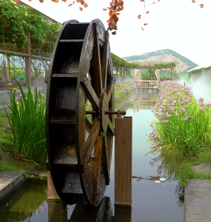 小满丨枇杷熟，麦花香，正是初夏好风光(图3)